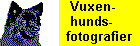 Fotografier av Likku som vuxen