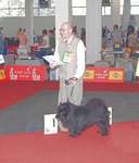 Lihkku Euro Winner  2007, click to blow up