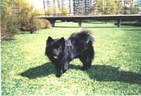 Lihkku  click to blow up>