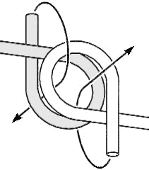 Knop